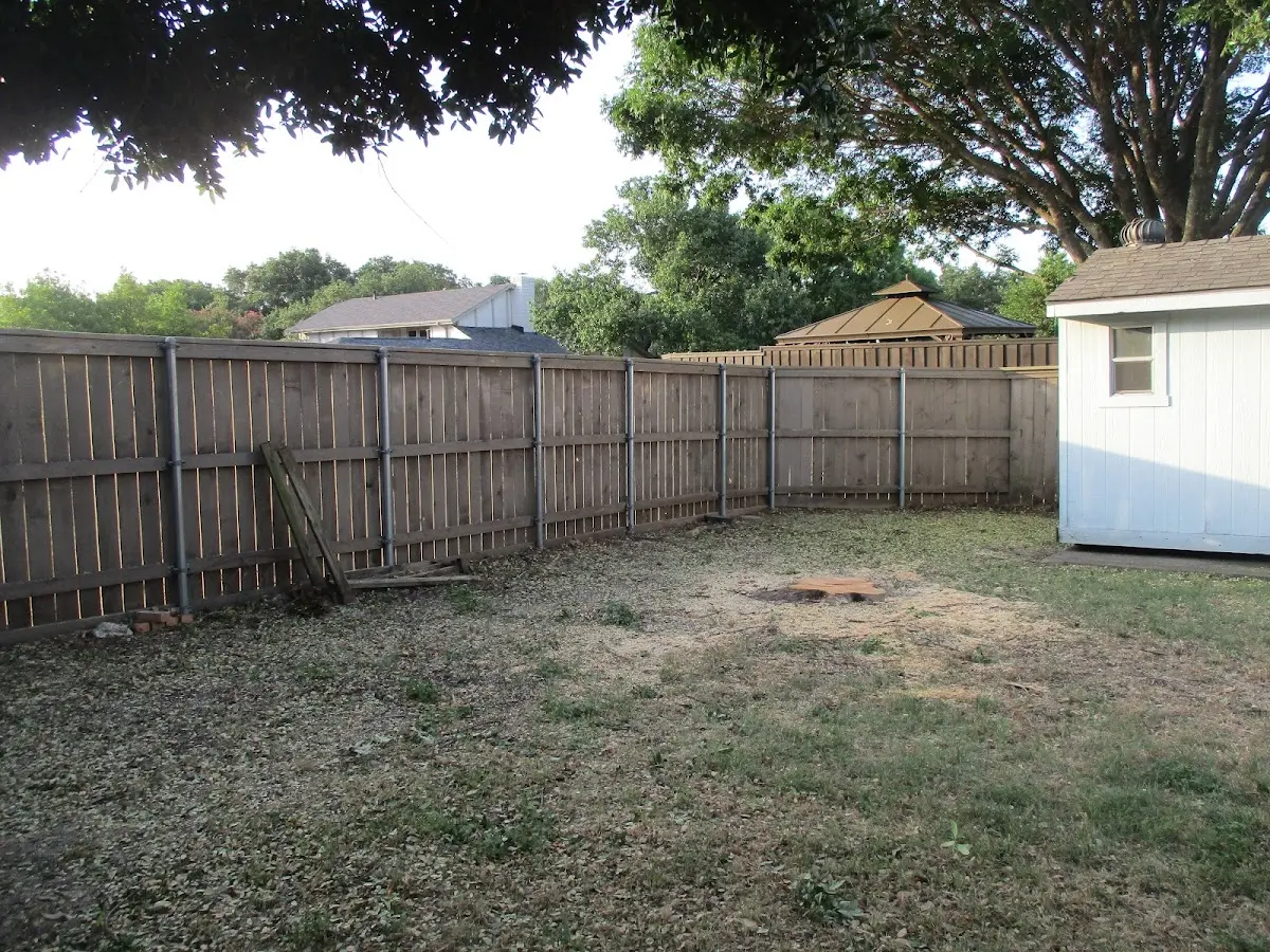 Cleared yard after professional tree removal in Groveland